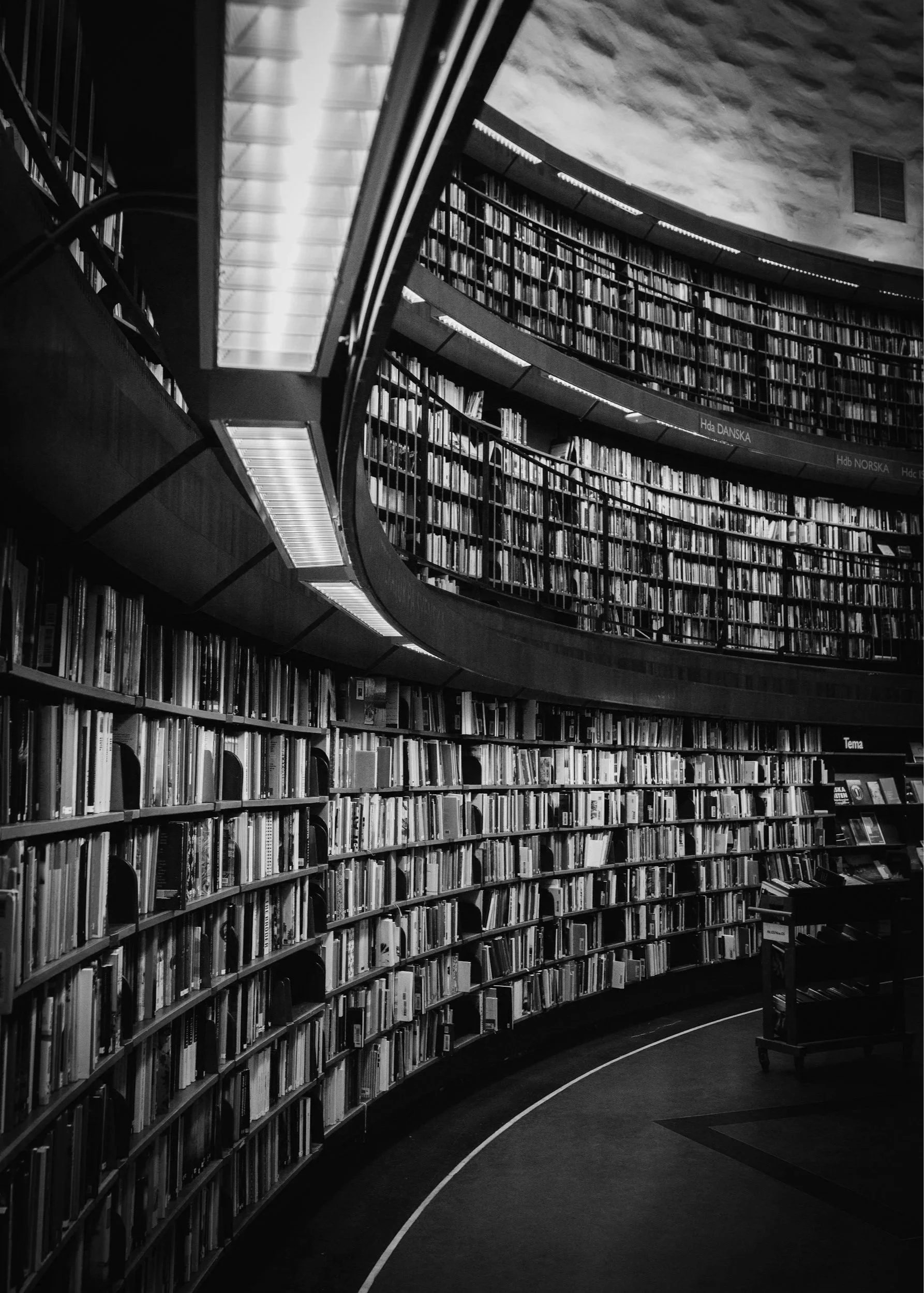 Black and white photo of a modern library with curved bookshelves filled with books, a mezzanine level, and a ceiling painted with a sky and clouds.