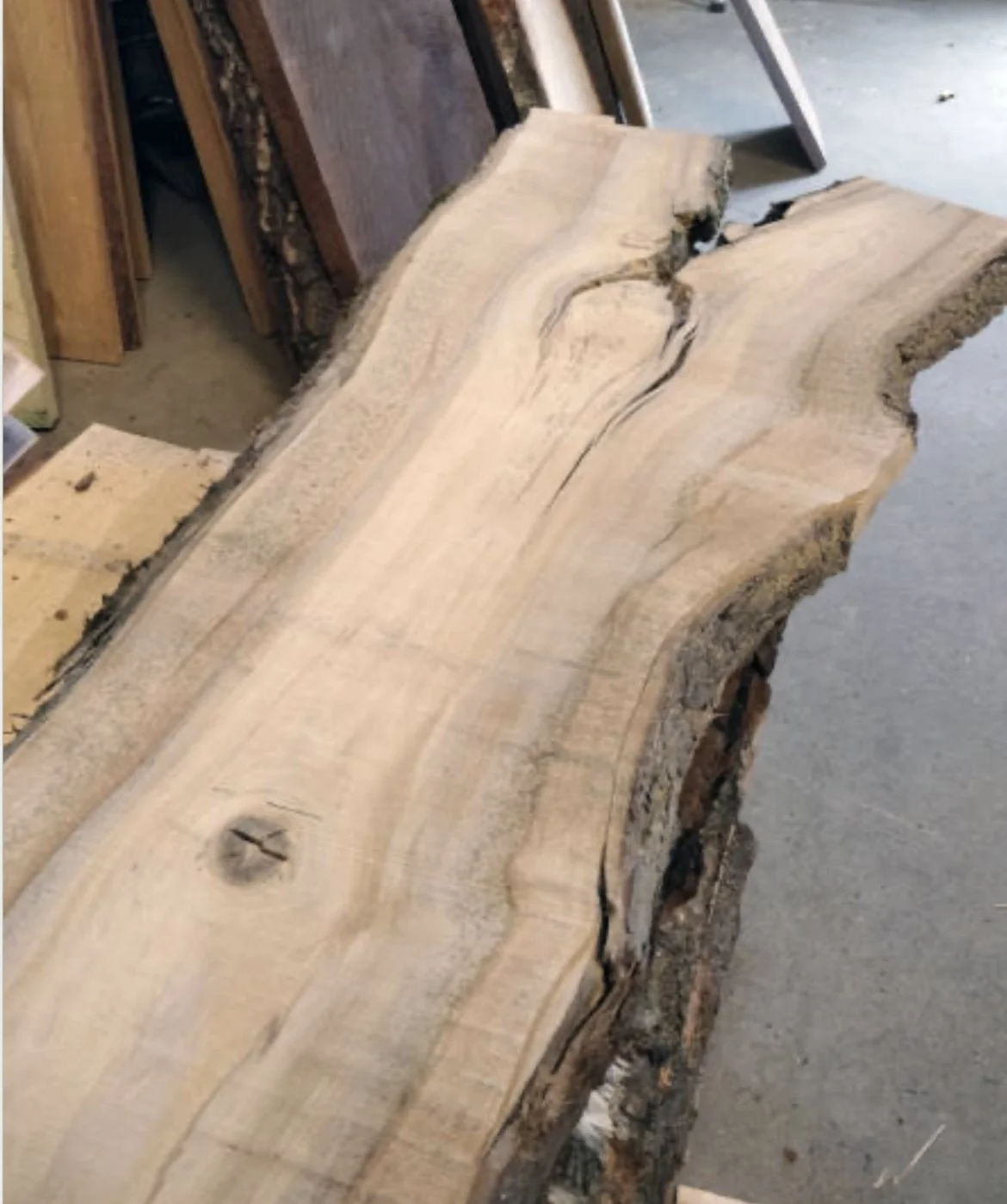 A large, thick slab of natural wood with a rough, uneven edge, resting on a workbench in a woodworking shop.