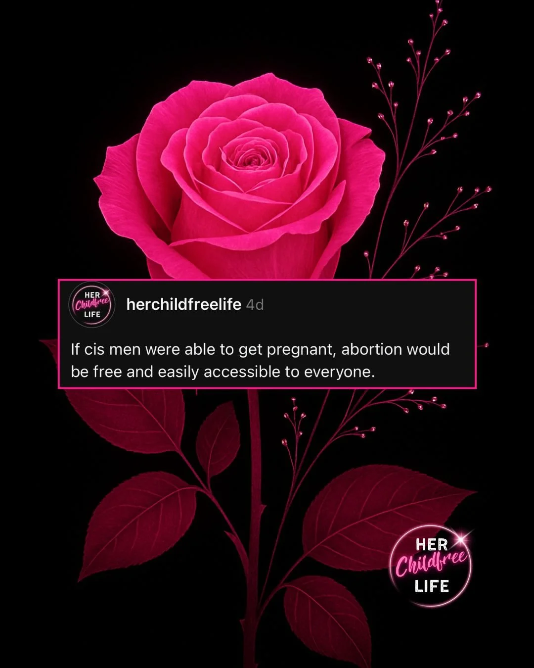Unlearning what we were taught about womanhood, motherhood, and worth.
Freedom isn&rsquo;t selfish. Clarity isn&rsquo;t rebellion. Choosing your own path is power.
Every childfree woman deserves to live life on her terms &mdash; without apology, pres