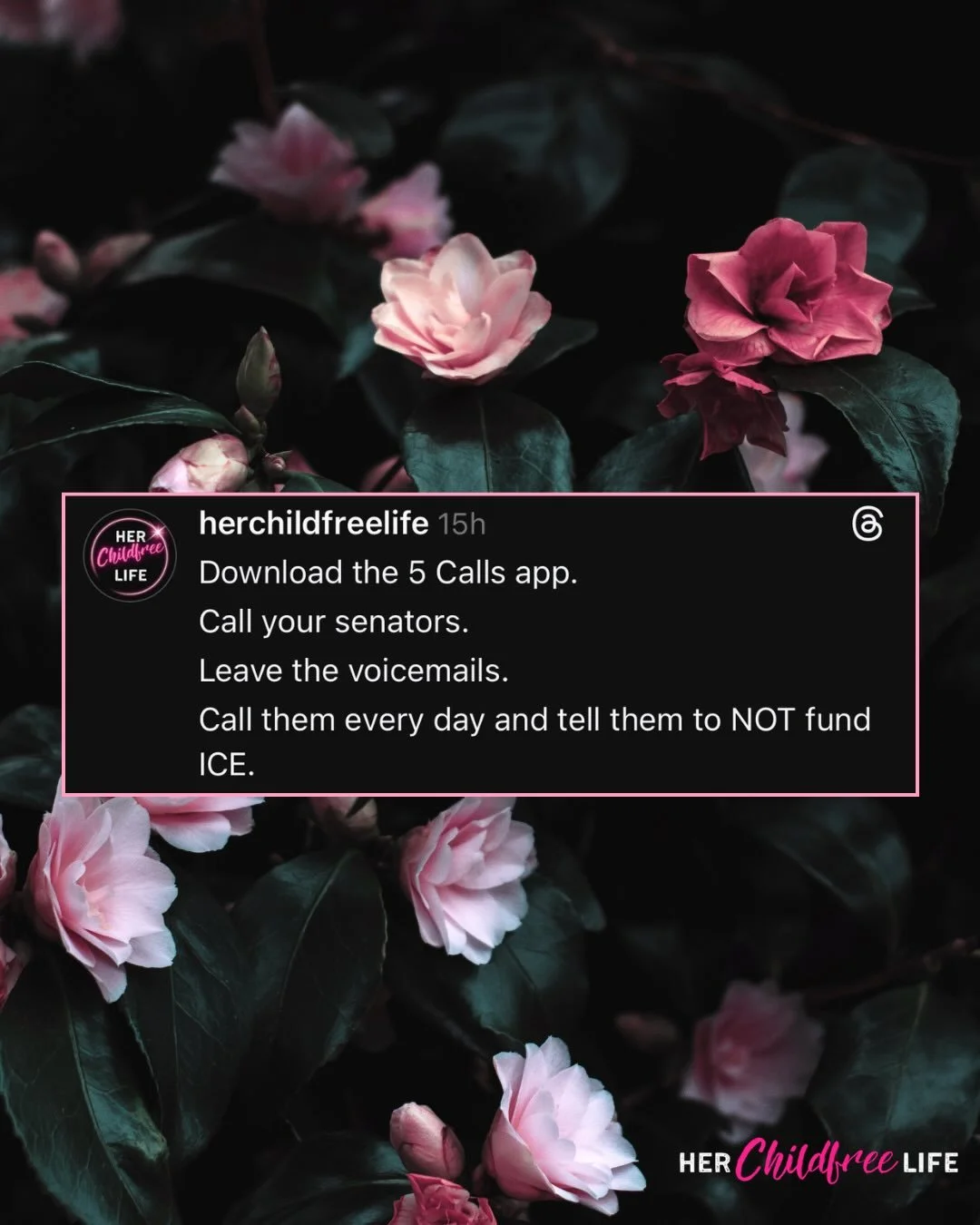 Heavy week. If you&rsquo;re feeling it too, here&rsquo;s something you can do: call your senators. Your voice matters, especially right now