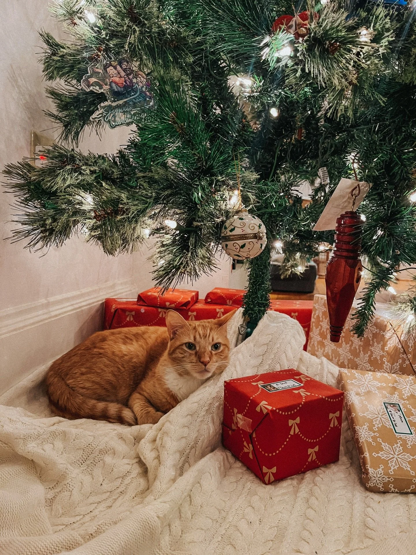 Merry Christmas! Wishing you all the peace and joy of the season&mdash; the thrill of hope in the midst of the darkest nights.