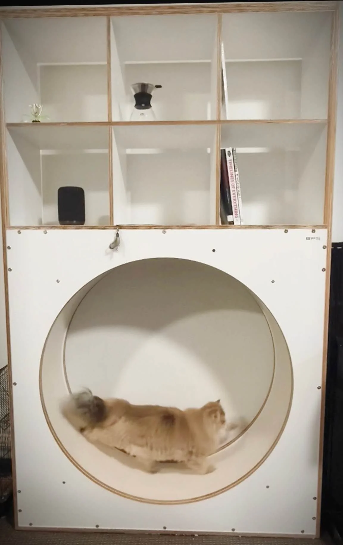 Cat Running Wheel, Cat Exercise Wheel