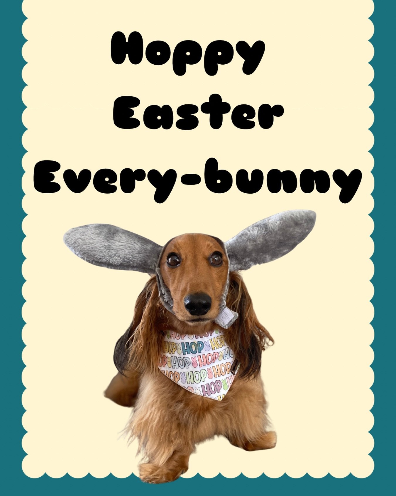 We hope the Easter Bunny brings you a relaxing long weekend with a chance to curl up with a book and some chocolate 🍫 🌶️📖