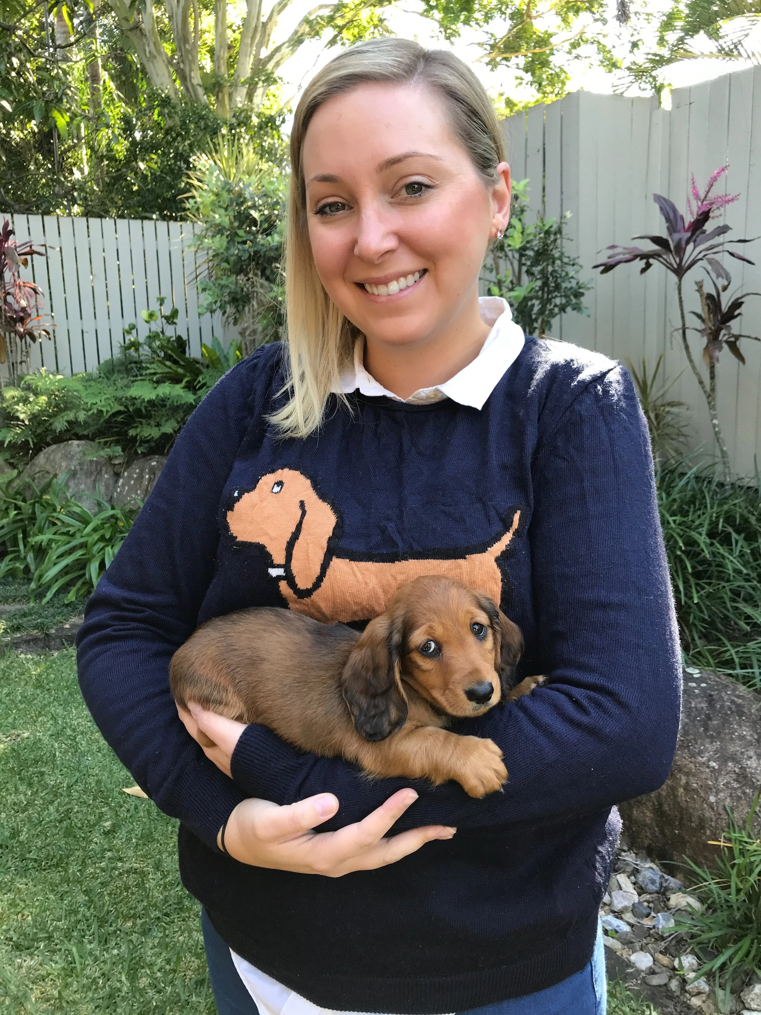 Happy Gotcha Day Chilli! 🌶️ 

Who would have thought seven years on from this photo you would be the CFO (Chief Fluff Officer) of a publishing company and the inspiration behind lots of giggles at story time ☺️📚