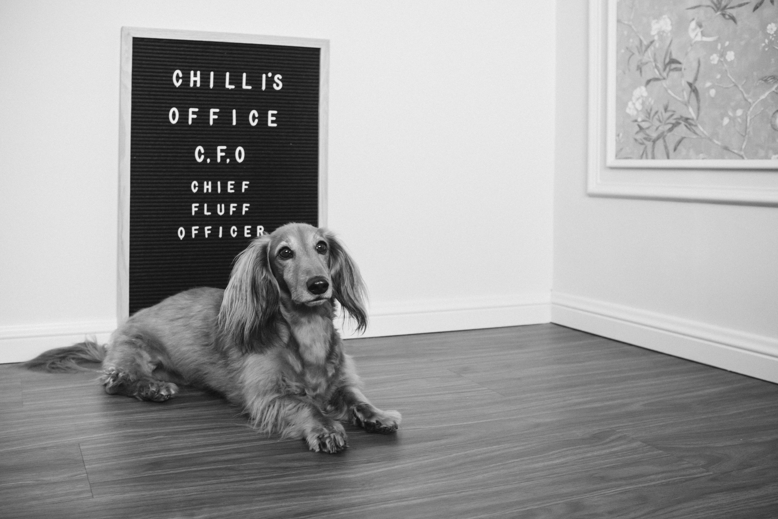 We&rsquo;ve been a little quiet on here lately due to life getting busy but we can assure you our CFO is working hard on some cool things for Little Red Chilli Books 📚 🌶️