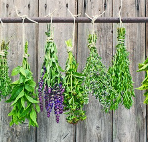 Screenshot 2026-03-16 222850.png