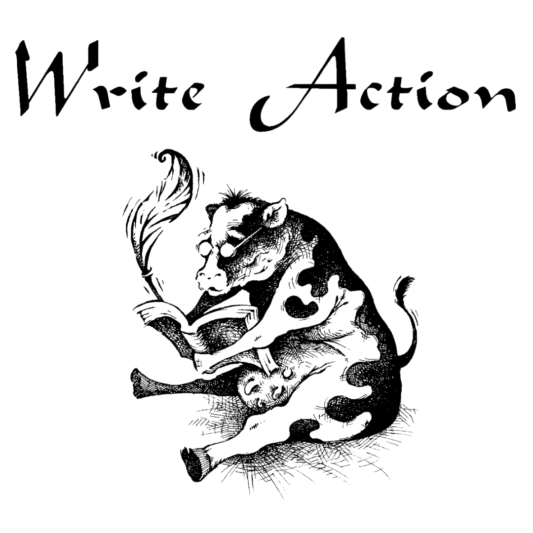 Write Action