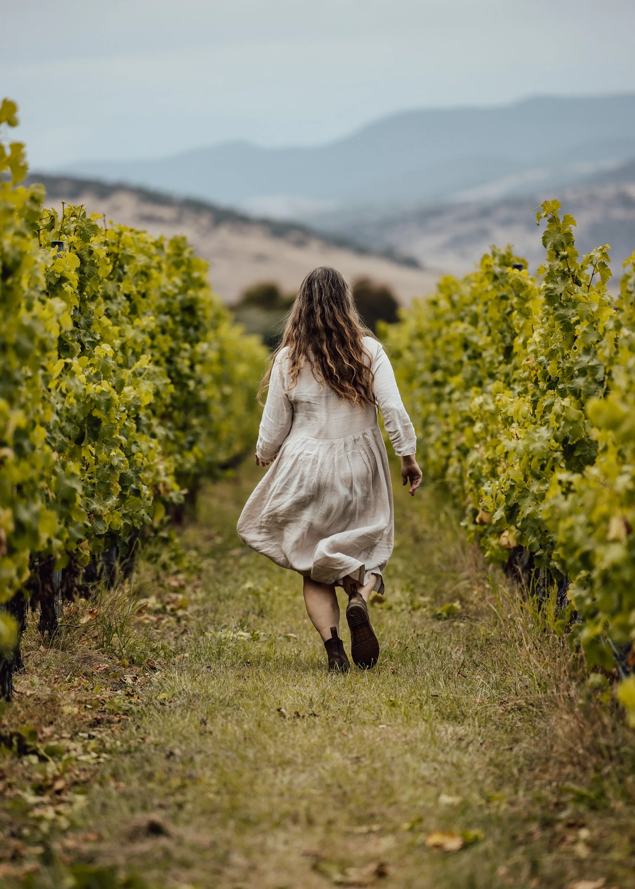 Open Vineyards