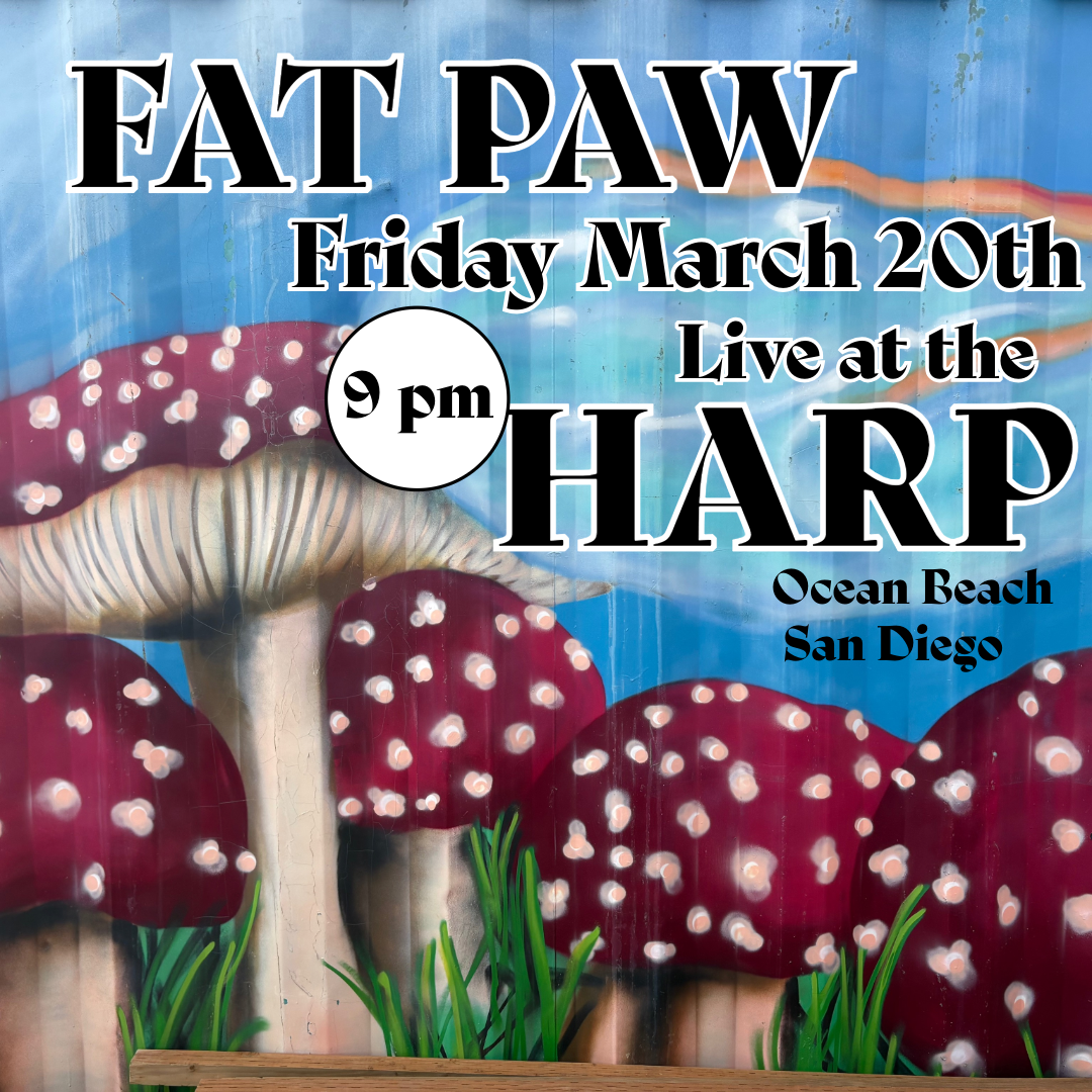 The Harp Ocean Beach San Diego