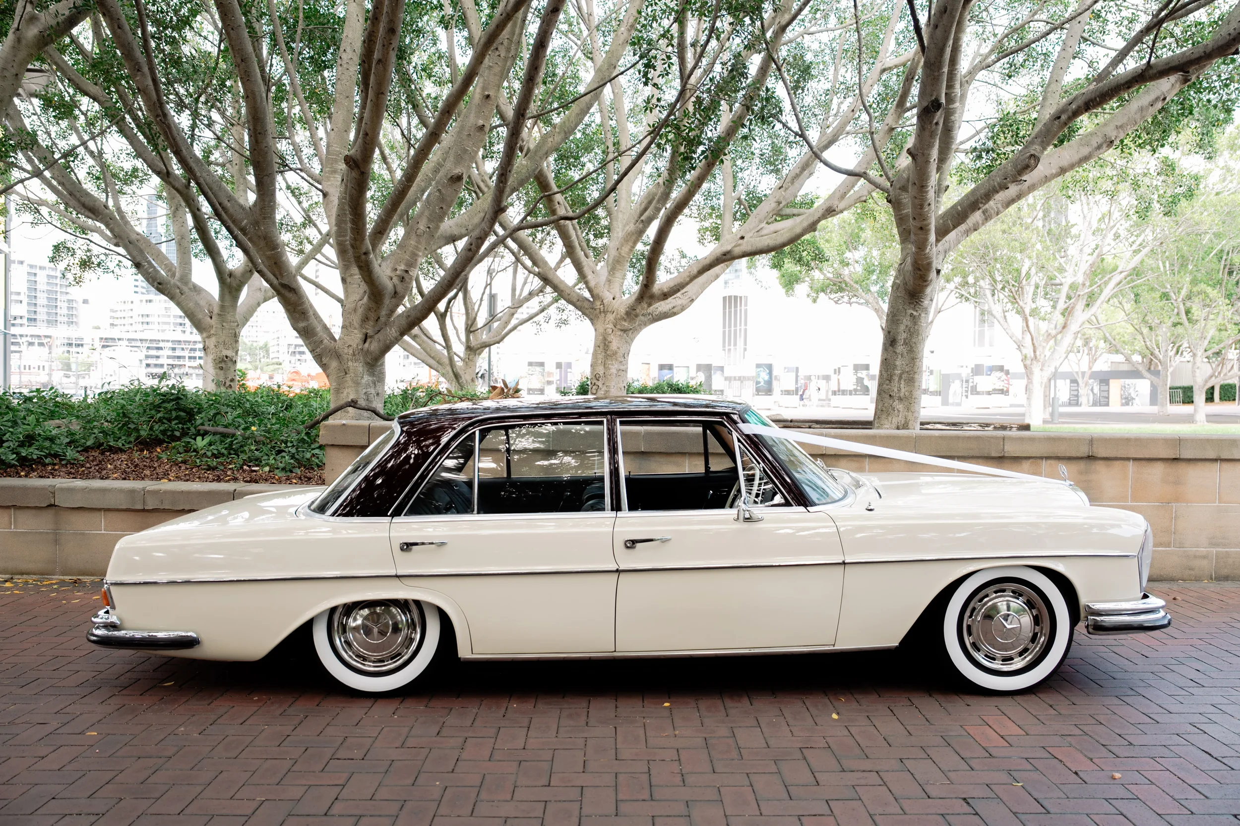 Pyrmont-registry-wedding-46.webp