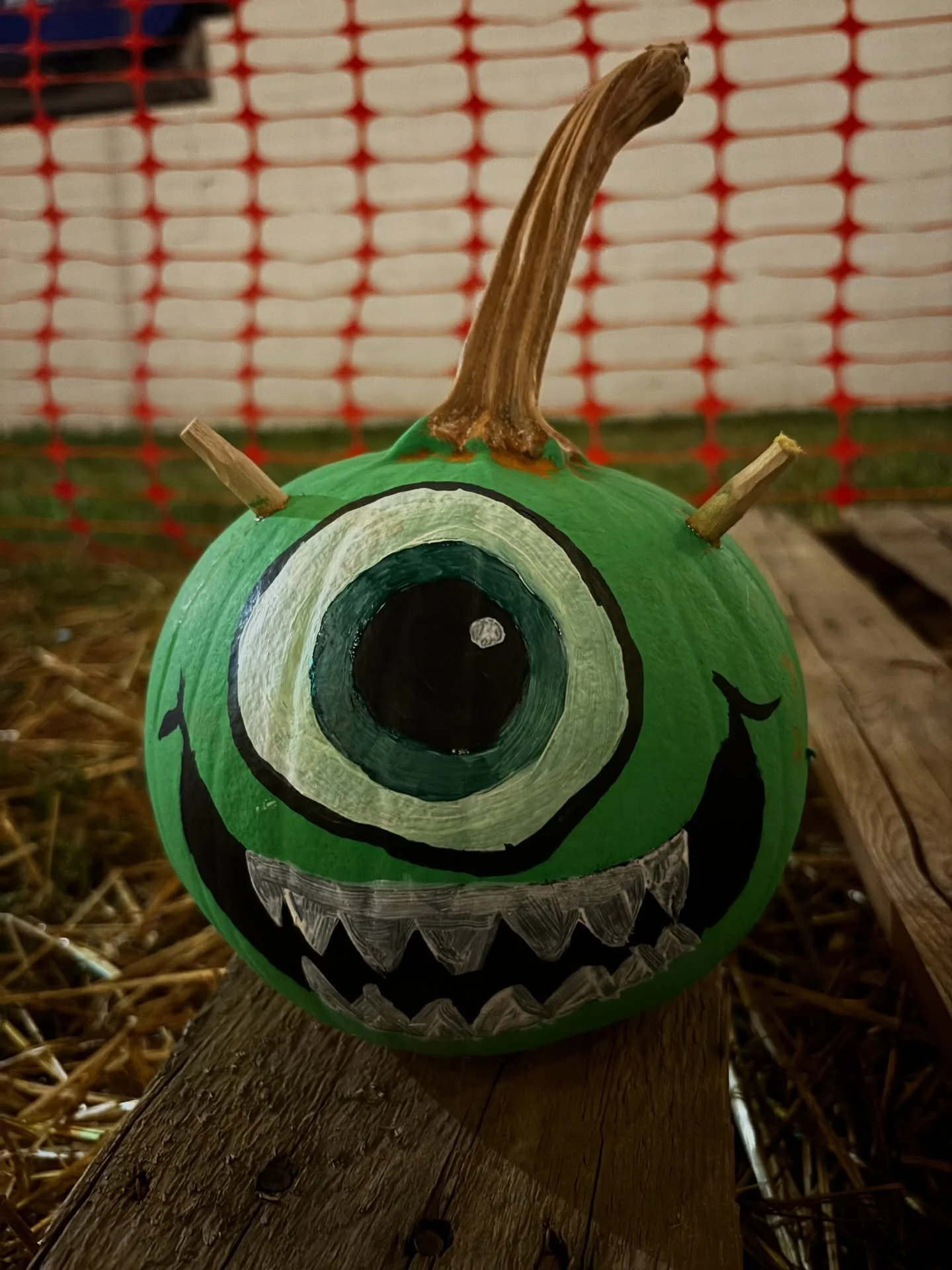 🎨🎃 Pumpkin Painting Contest at the Family Pumpkin Patch! 🎃🎨

Check out all the creative pumpkins painted right here at the patch &mdash; and vote for your favorite by hitting that 👍!

The pumpkin photo with the most likes wins the contest! 🏆🧡
