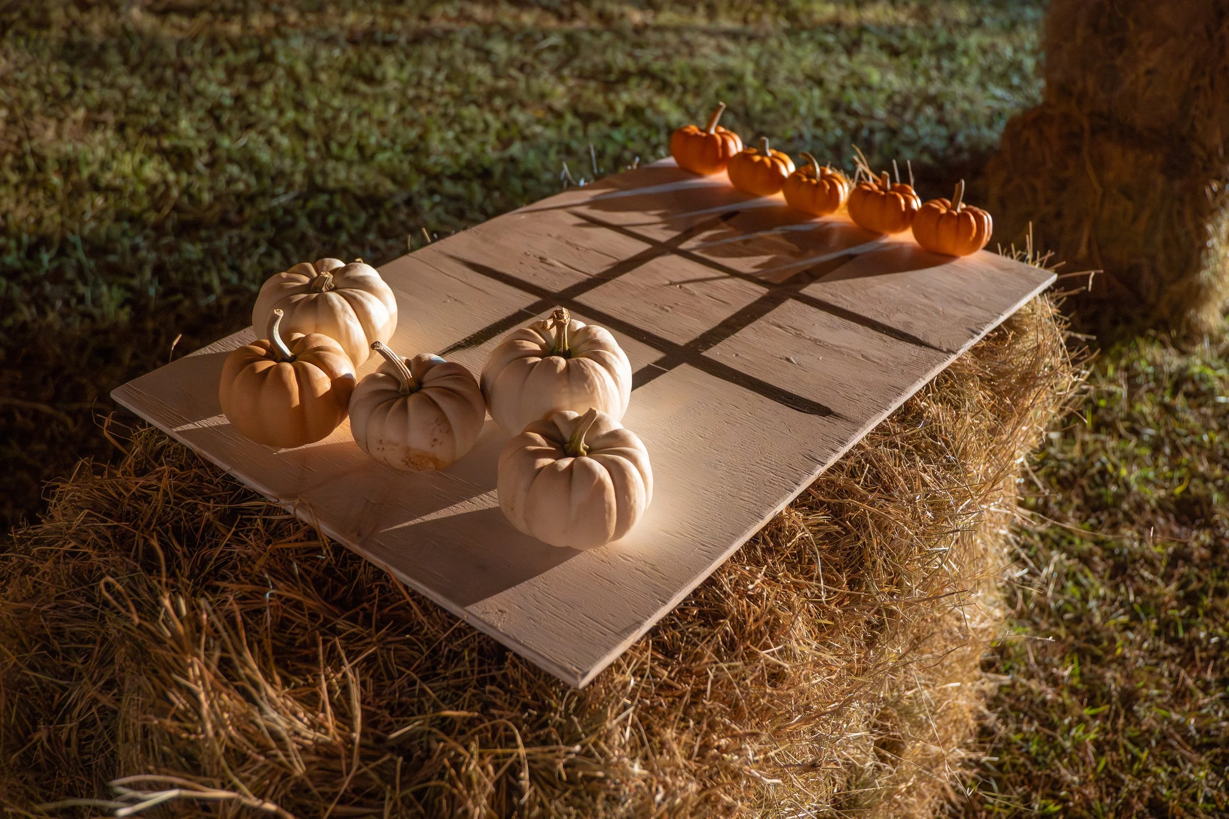 People playing a pumpkin checkers game outdoors, with pumpkins of various colors on a black and white checkered board.