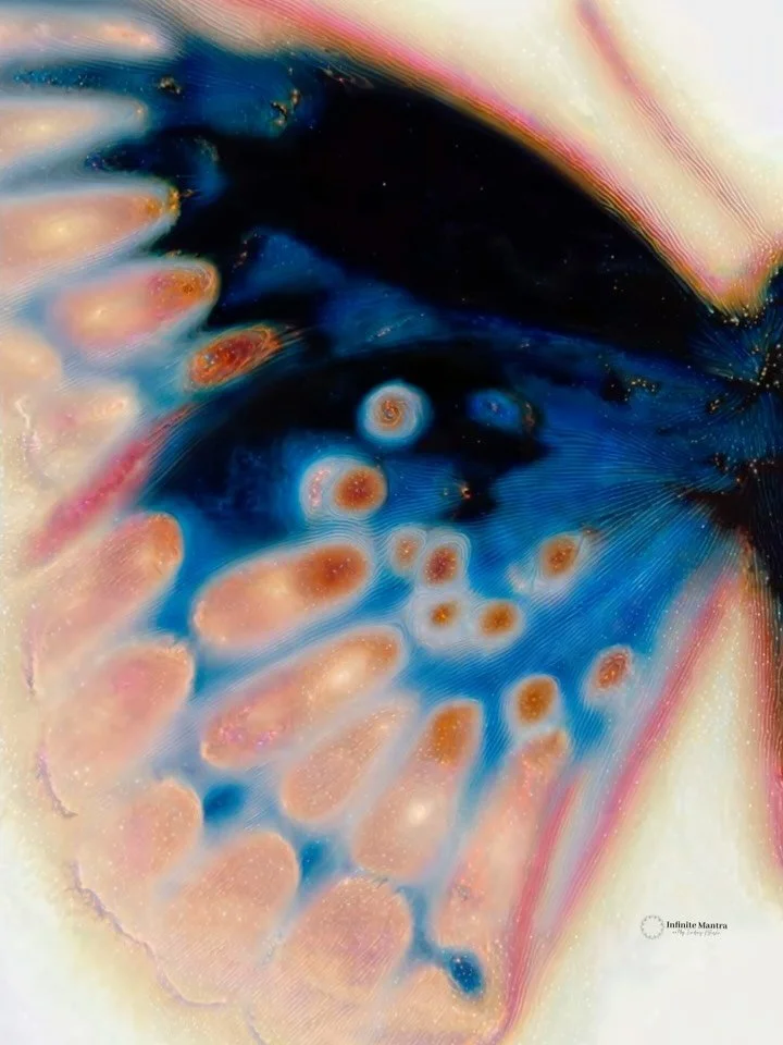 Light gathers in the smallest places, waiting to become wings.

Lumen, Lindsay Kokoska,2025

Lumen explores the quiet radiance that lives within transformation. Each wing carries traces of light, fragments of memory, and the pulse of unseen motion. W