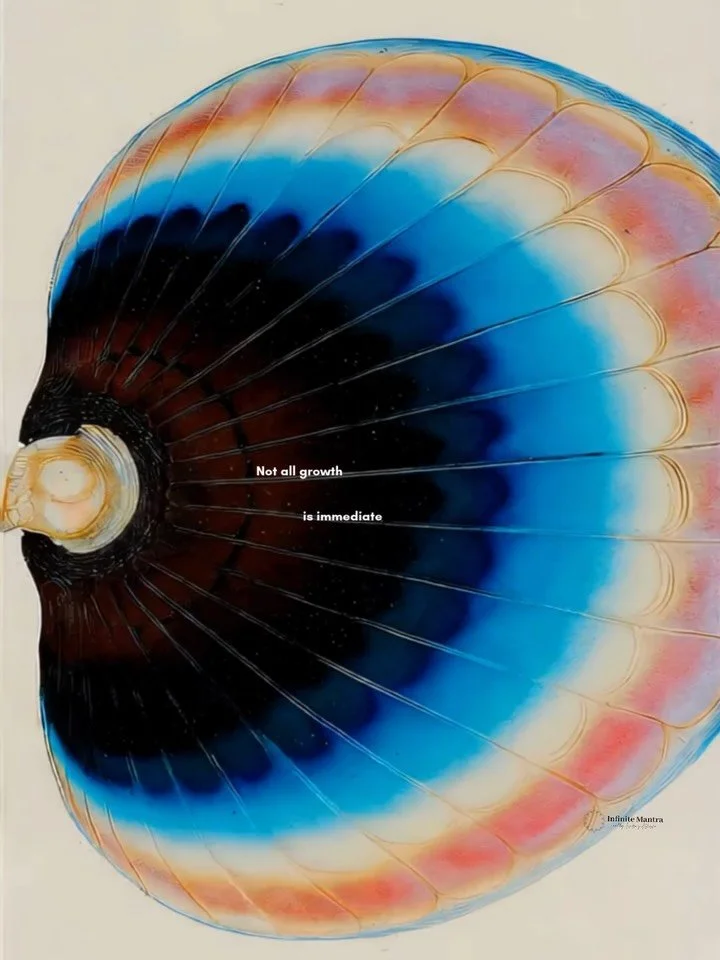 Not all growth is visible. Some transformation happens through stillness, repetition, and quiet attention. Patterns form before they are understood, shaping strength beneath the surface.

A reminder that presence creates its own momentum.

#contempor