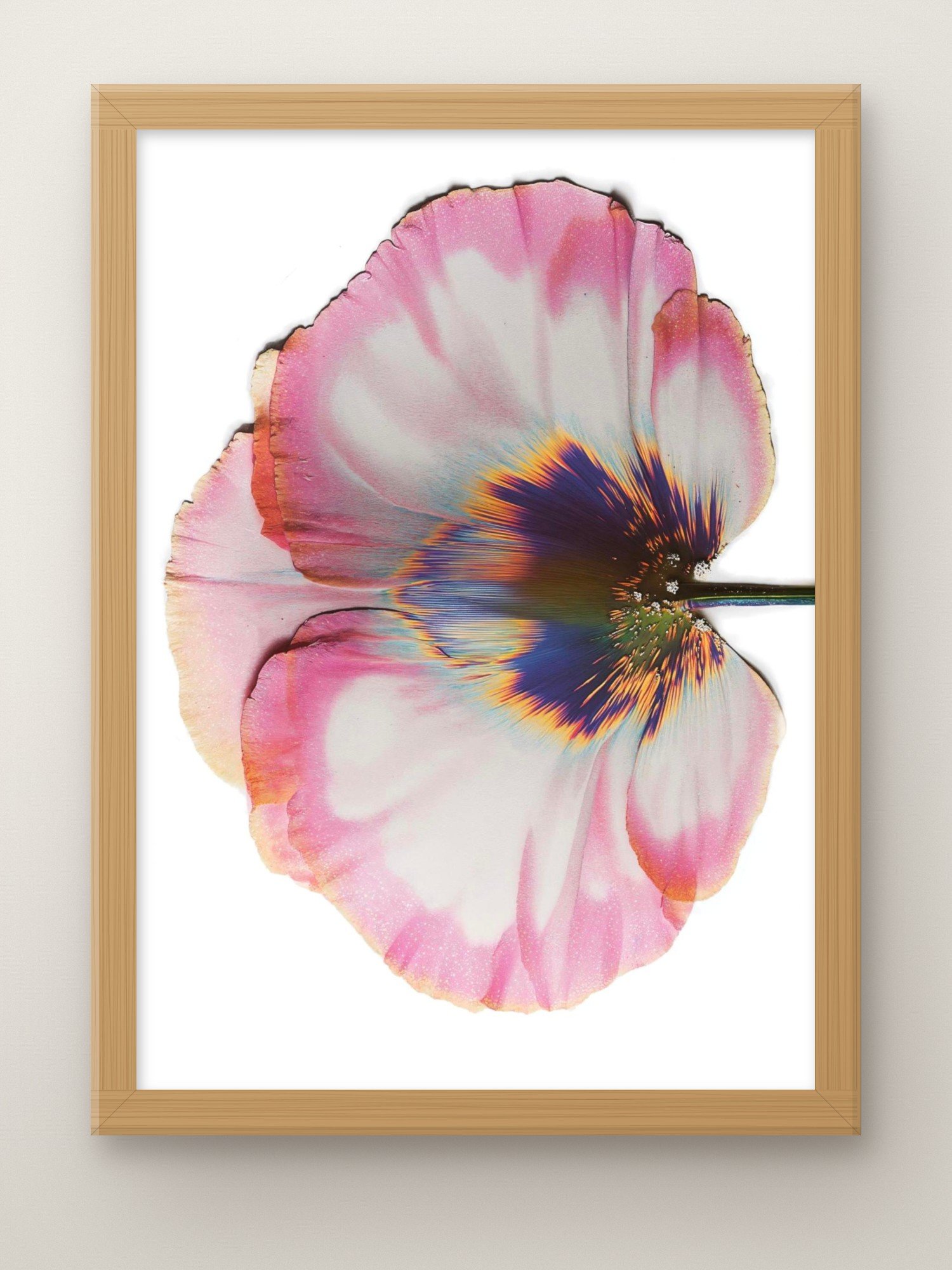 transience-a3-oak-frame.jpg
