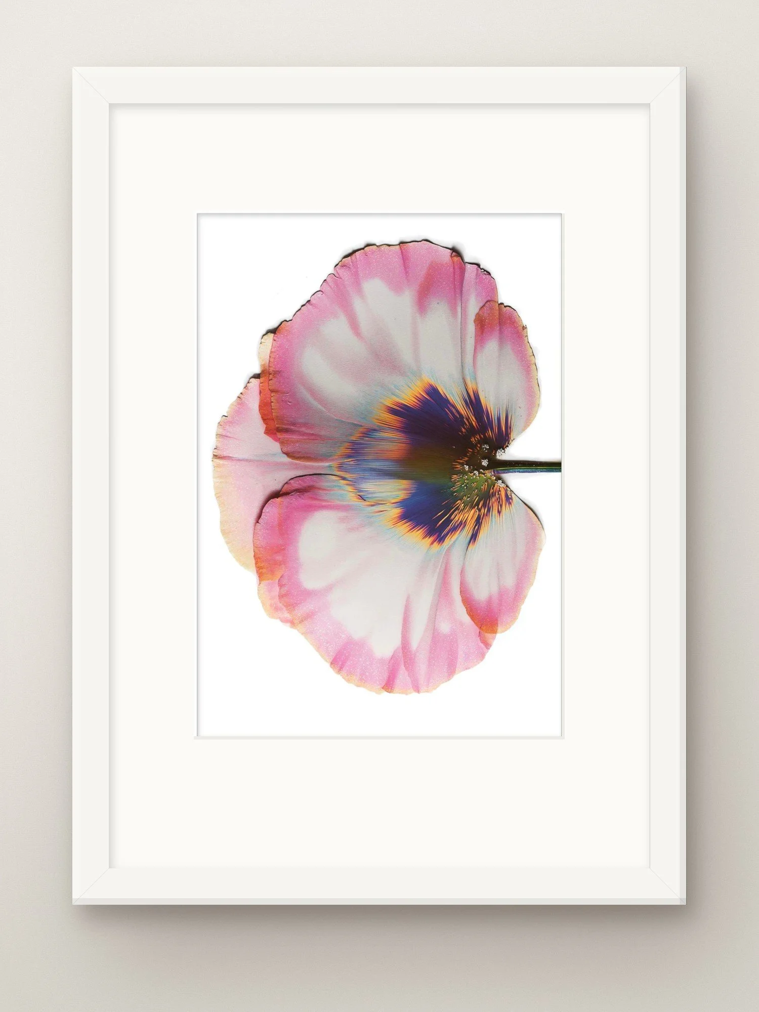 transience-a4-white-frame-mat.jpg