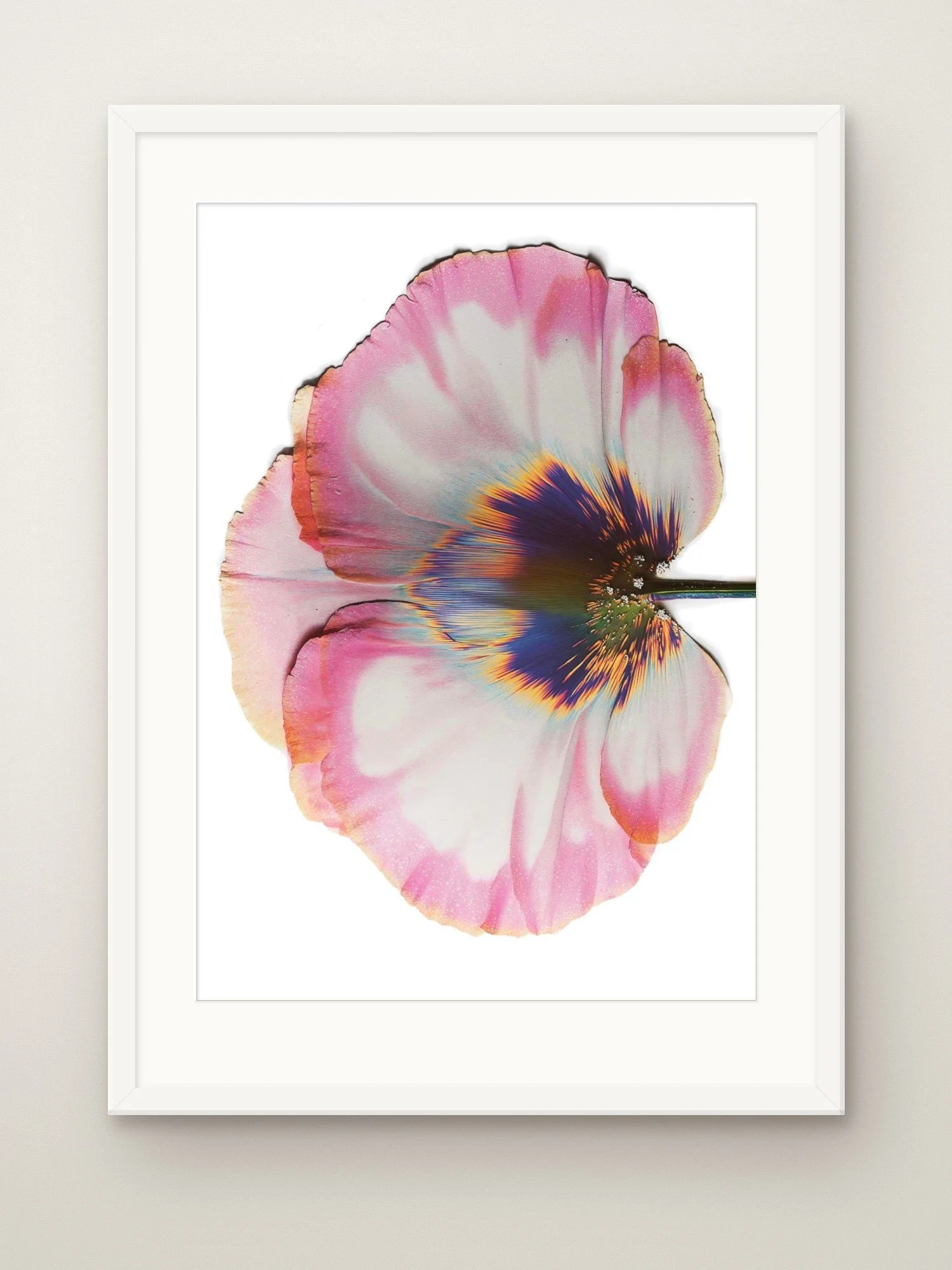 transience-a2-white-frame-mat.jpg