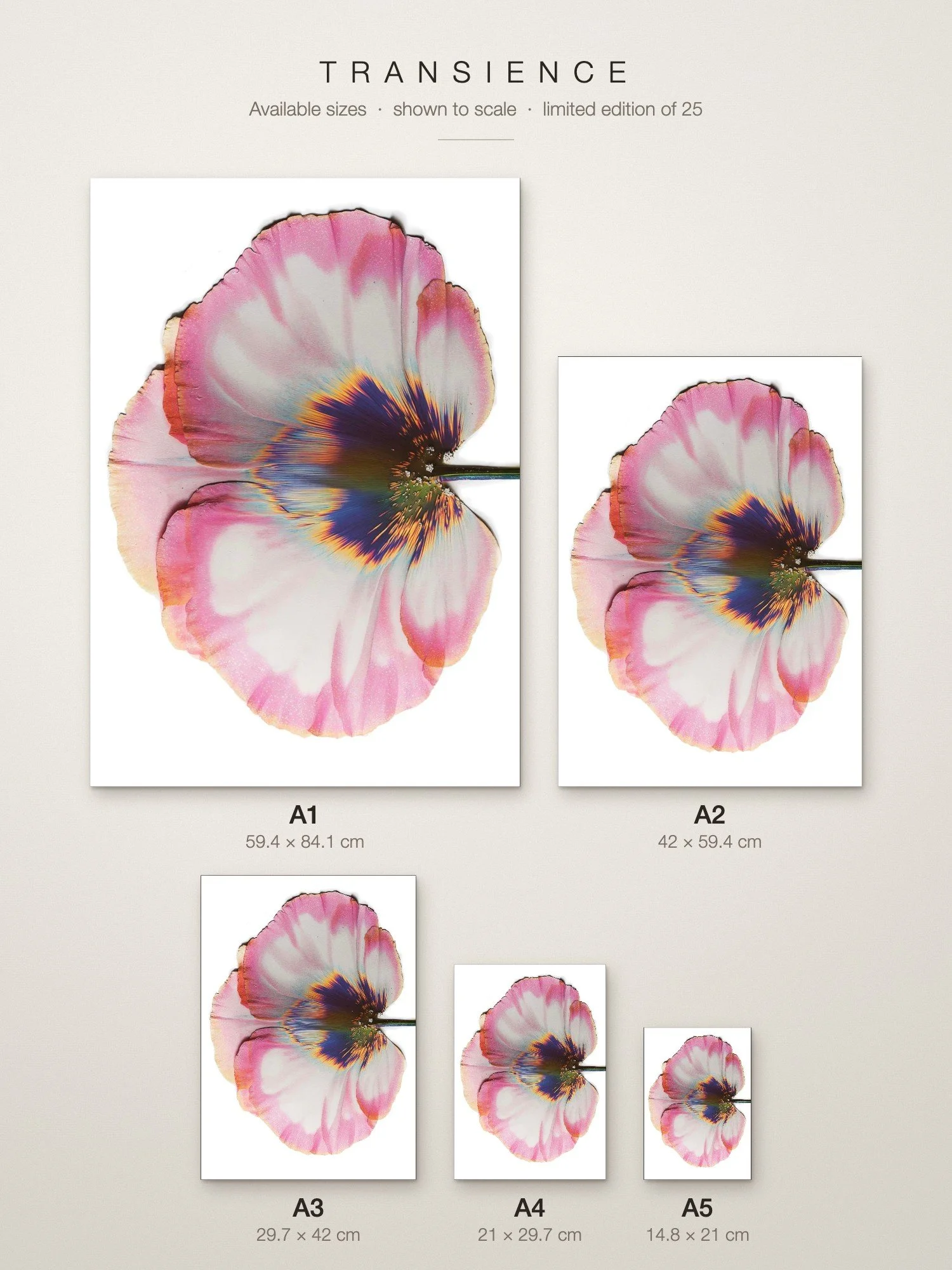 transience-sizes-a5-to-a1.jpg