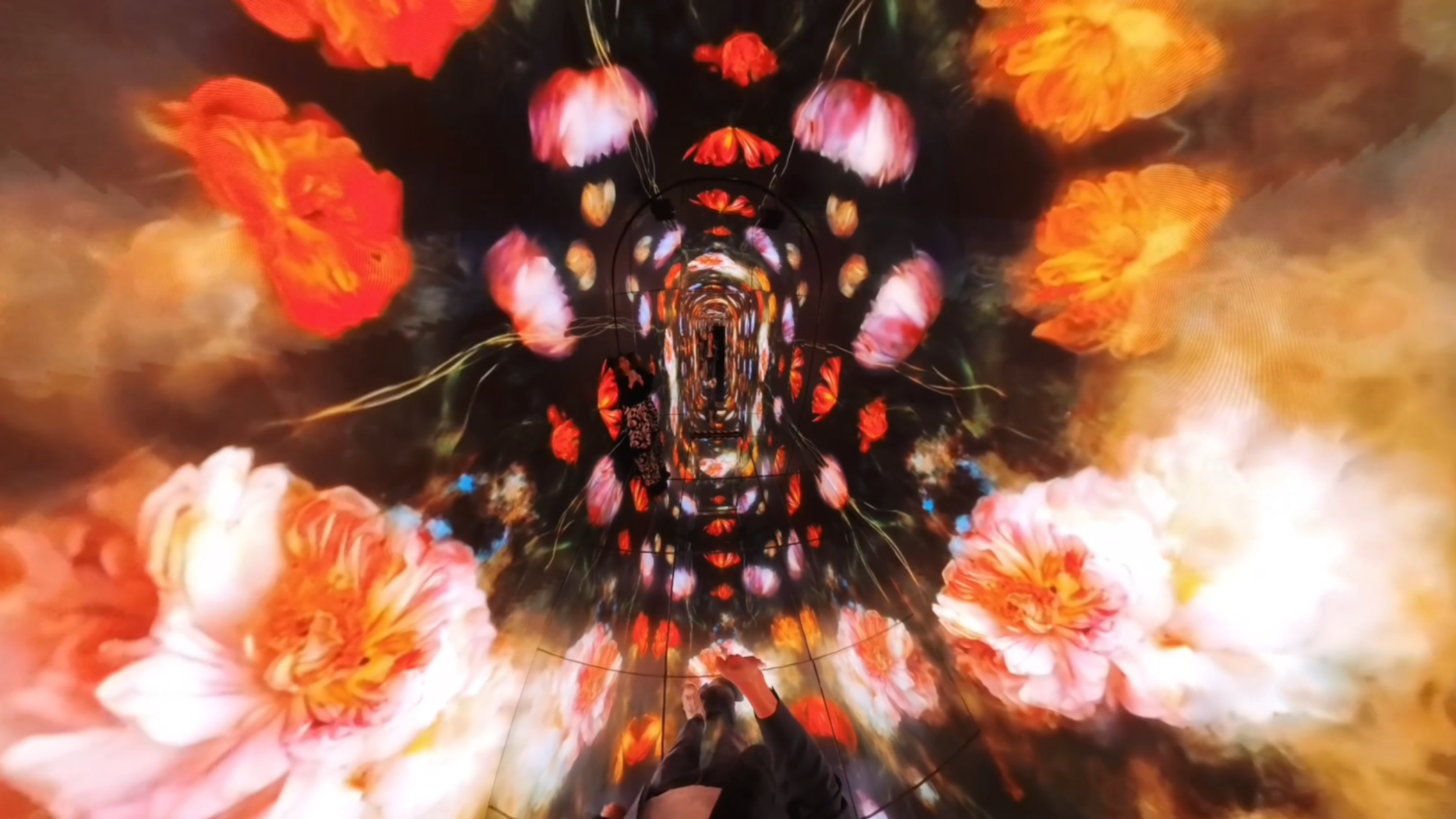 Un Sueño Digital (A Digital Dream), InSpace.one, Mexico City