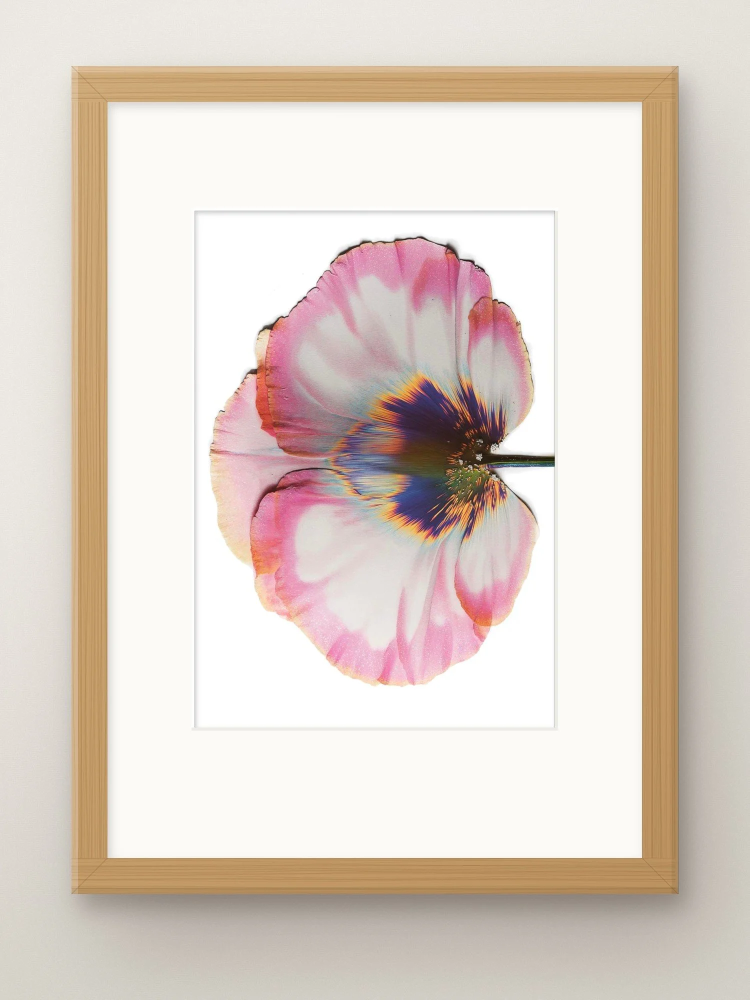 transience-a4-oak-frame-mat.jpg