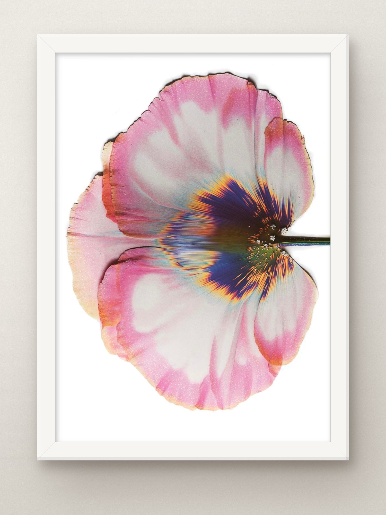 transience-a3-white-frame.jpg