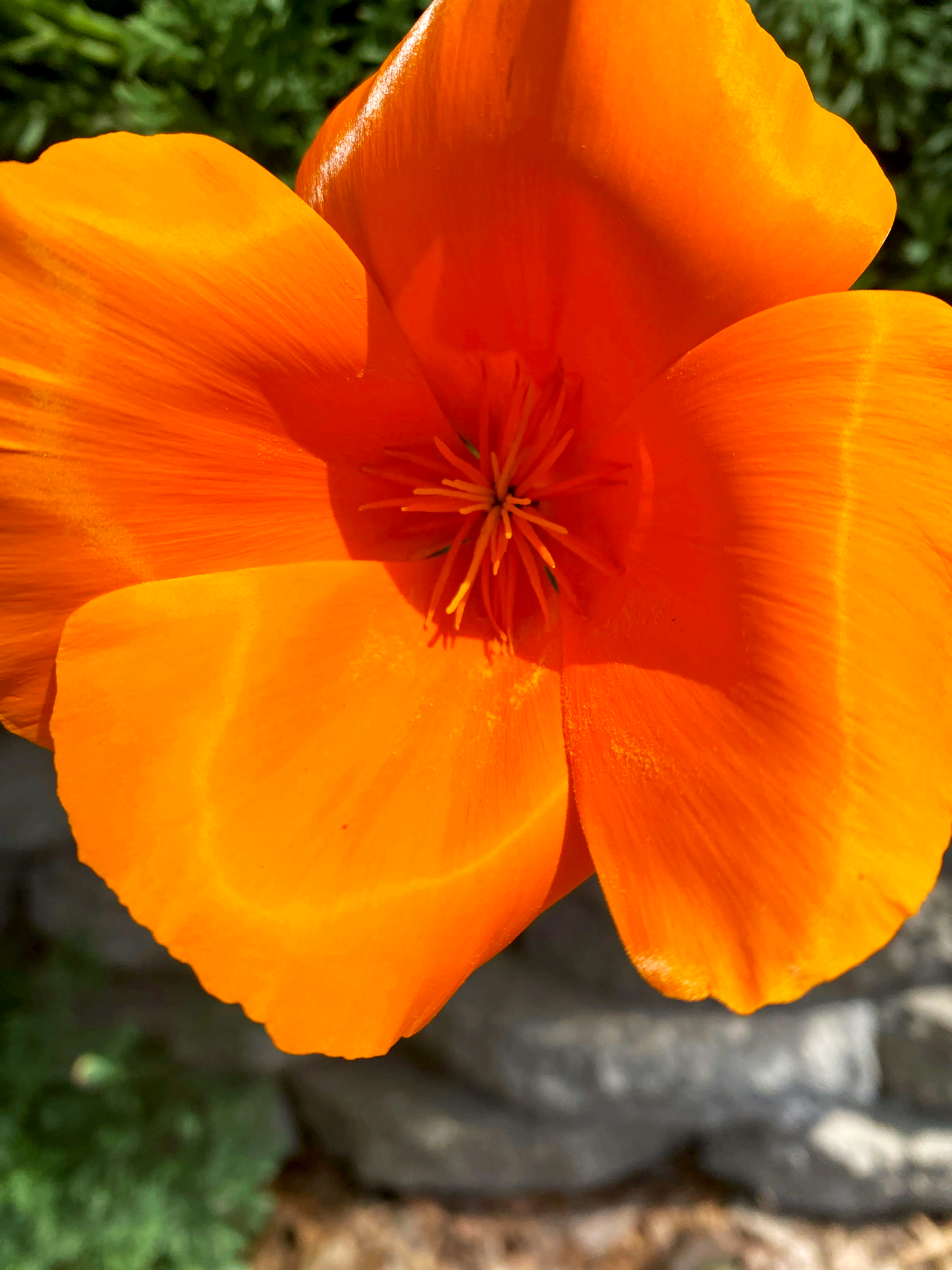 IMG_0448.png