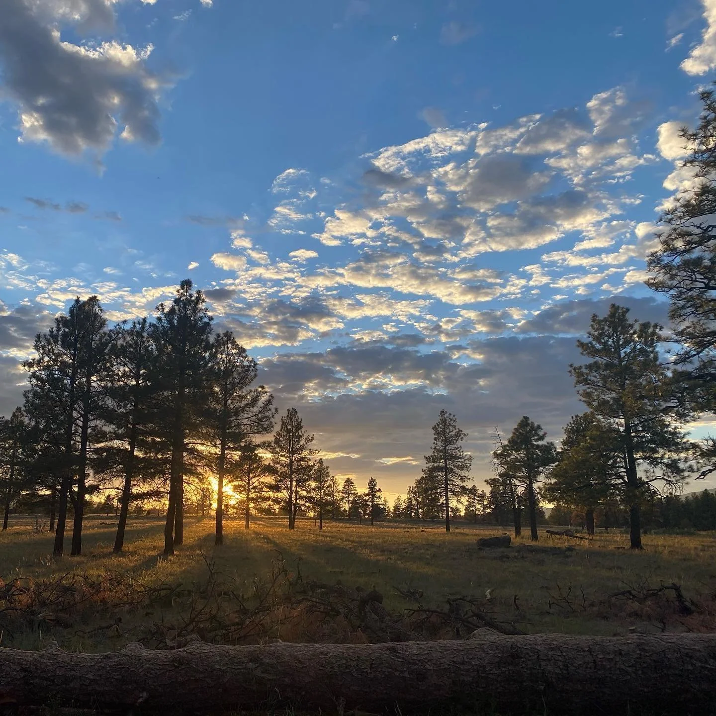 Private Lesson - Couple