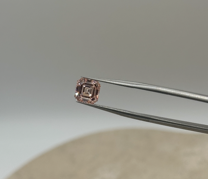 Screenshot 2026-01-14 at 1.44.49 PM.png