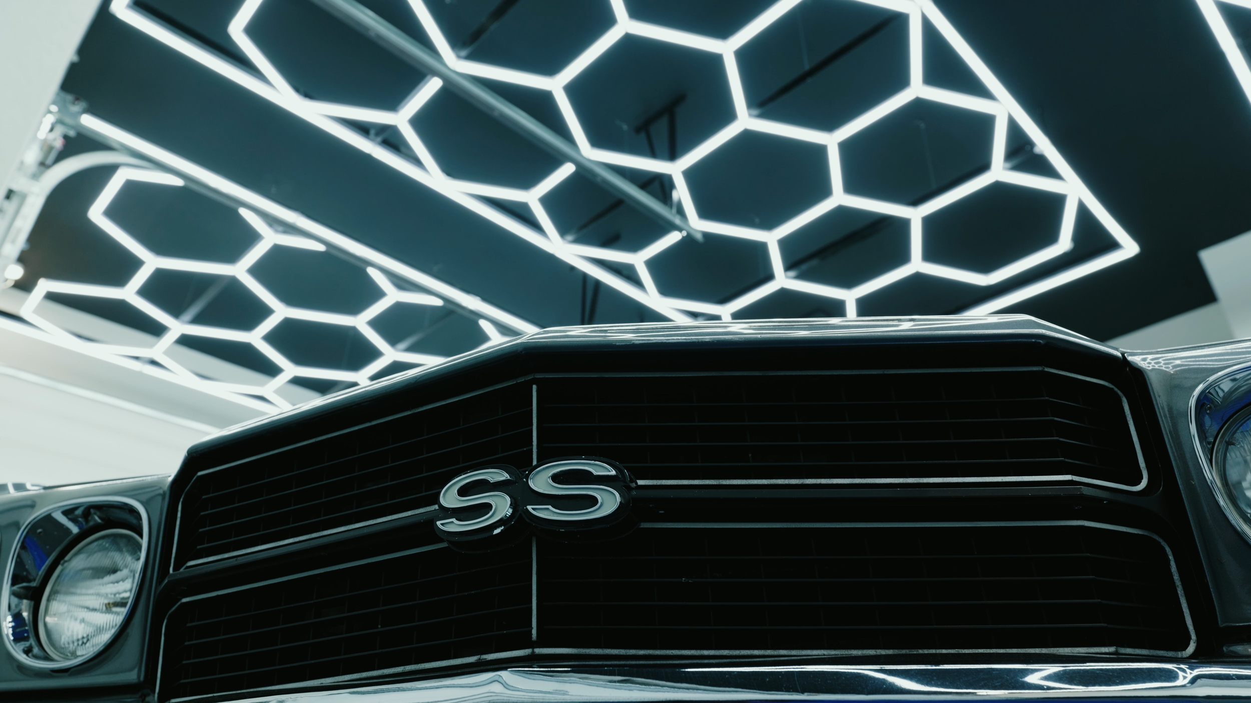 Watermarked.00_00_13_09.Still003.png