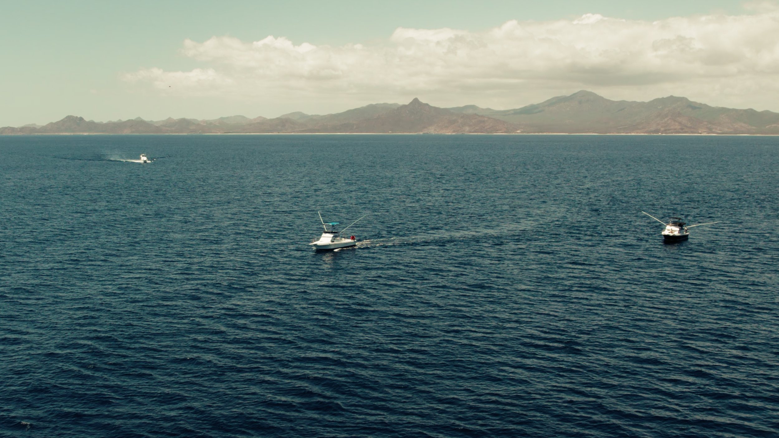 Nelson Video.00_00_15_01.Still001.jpg