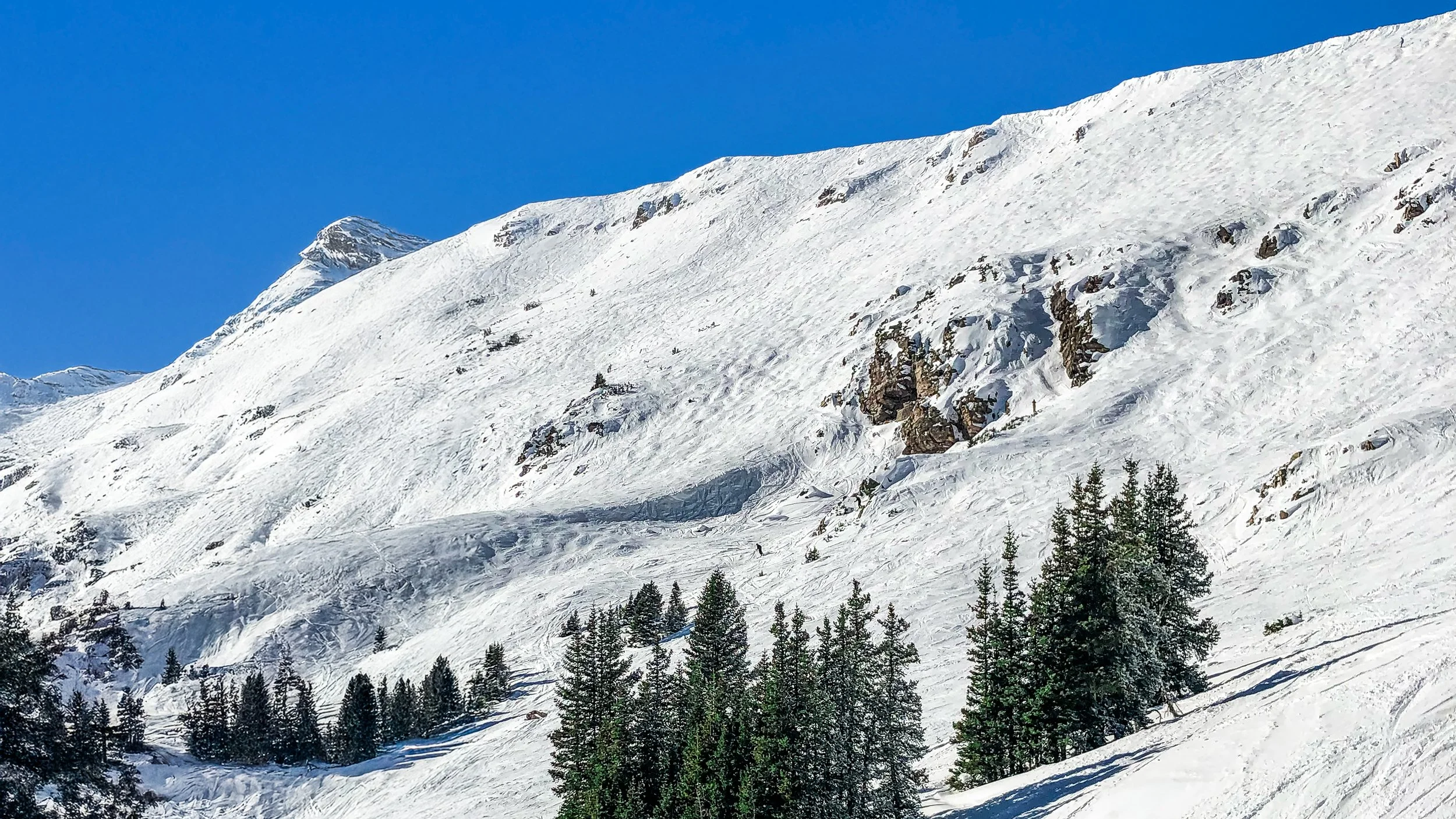 Mountain Canvas.jpg
