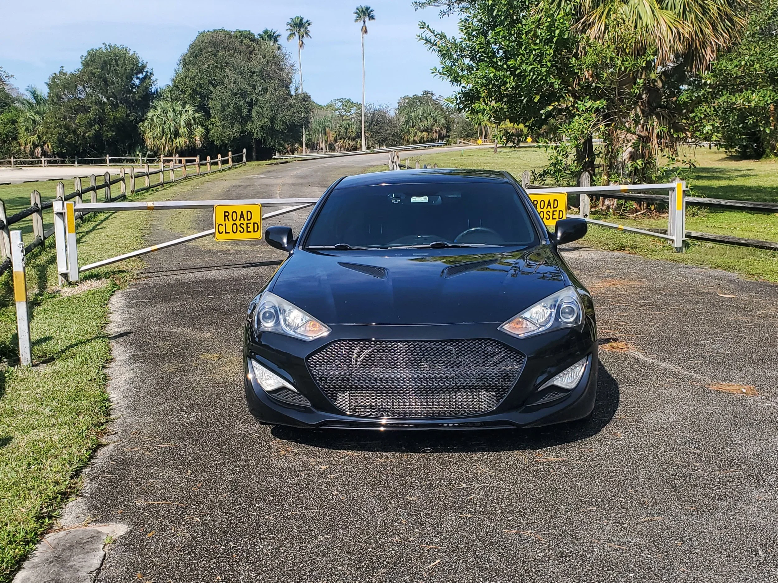 Black car parked in front of a closed gate with yellow 'Road Closed' signs, surrounded by green trees and grass in a rural area.