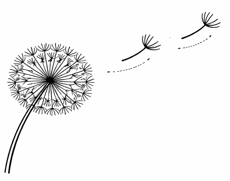 A black-and-white illustration of a dandelion with seeds dispersing in the air.