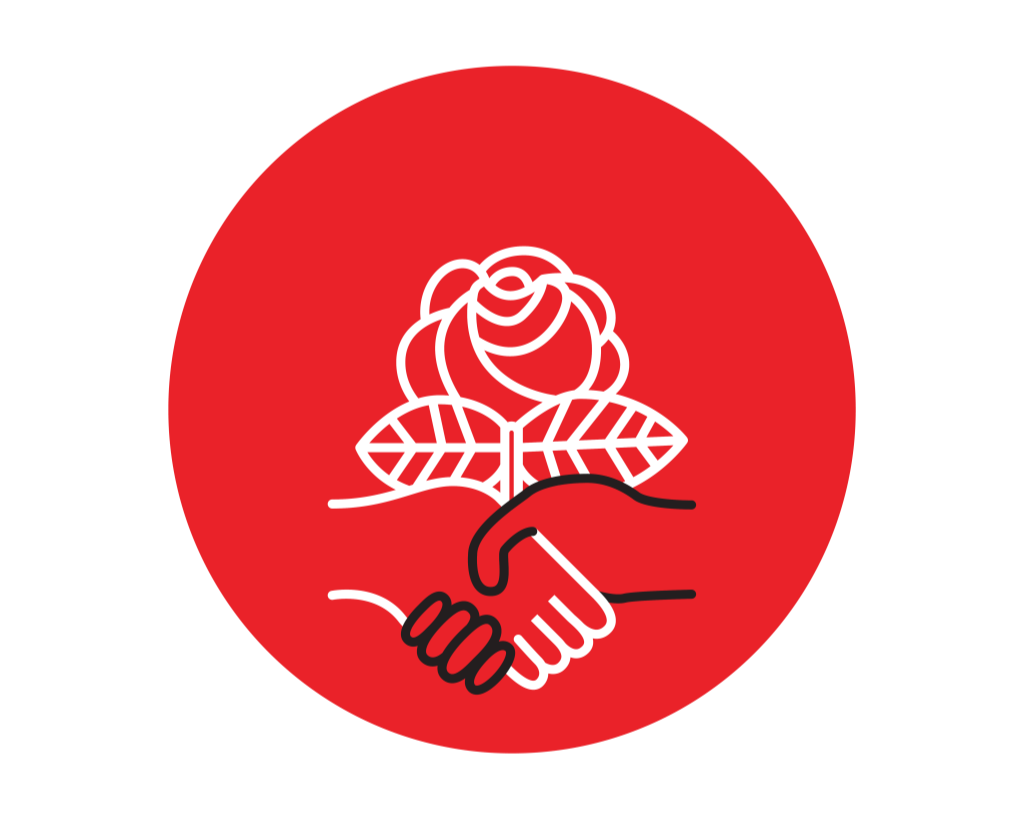 DSA Logo