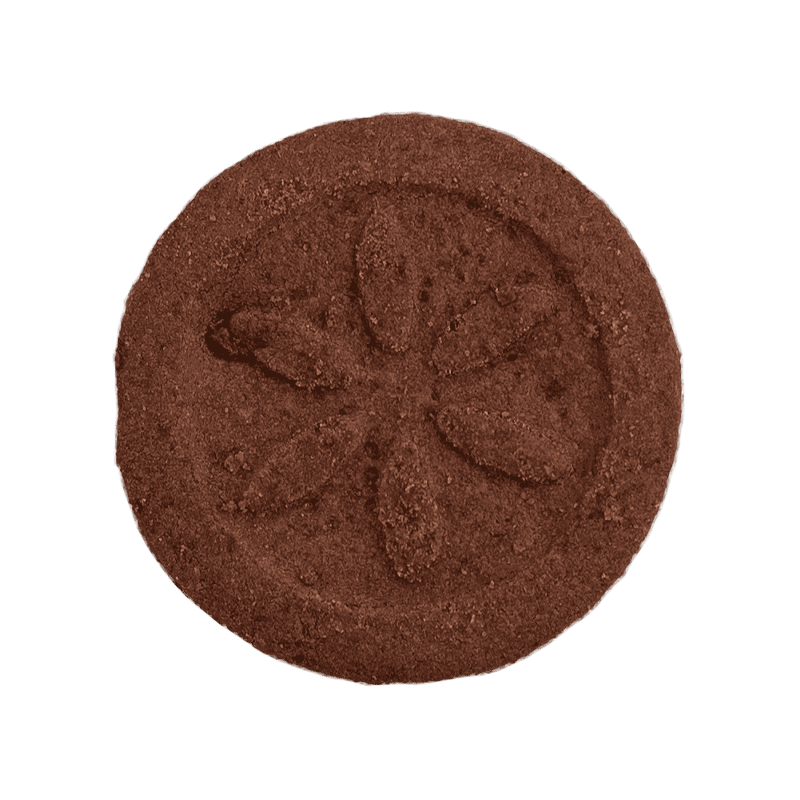 RNCC300G10_03.png