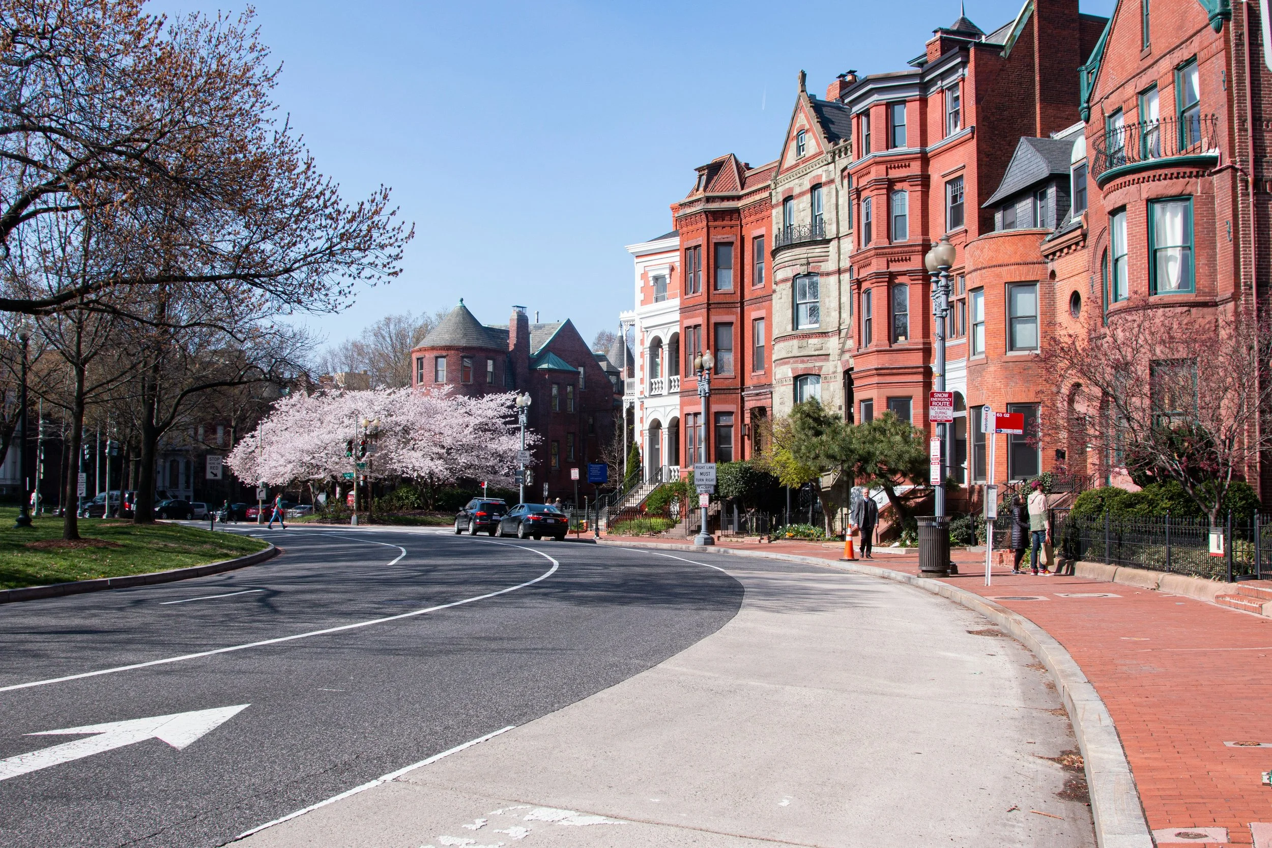 City street with red and brown brick row houses, sidewalk, trees, and spring blossoms on a sunny day.