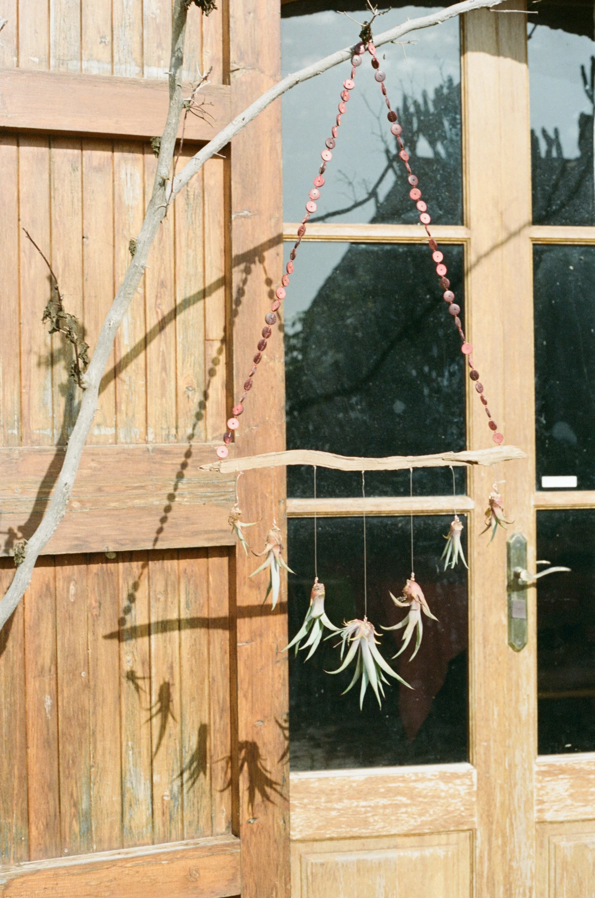 kodak_400_c_41_9297_109256_246680_002459980019.jpg
