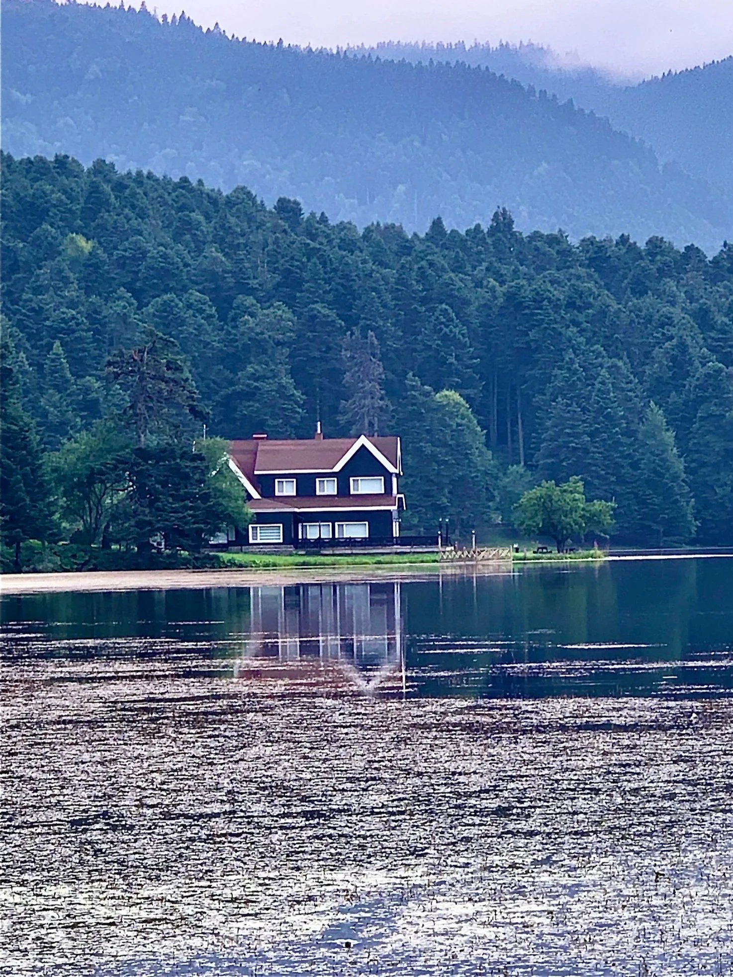 A house by a lake with a backdrop of green forest and mountains.