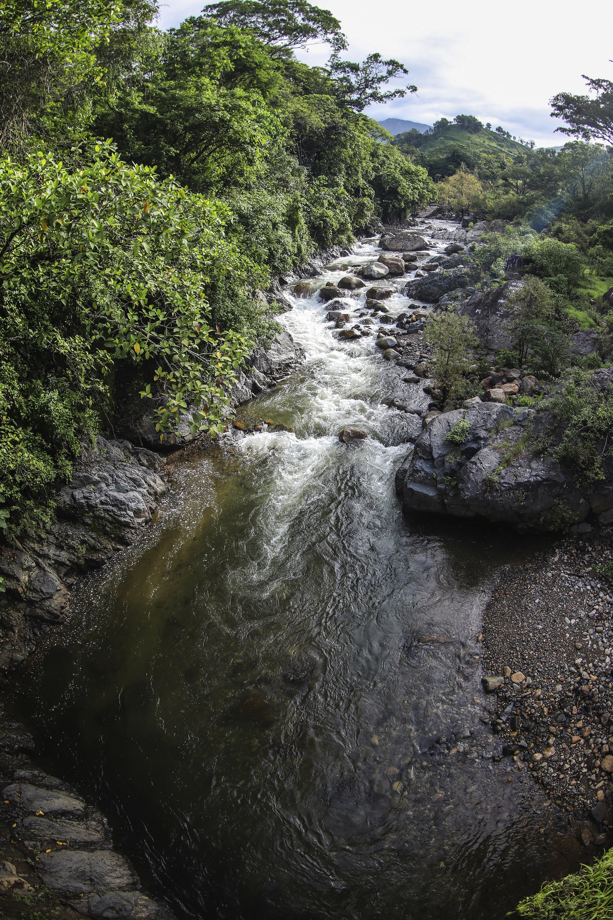 Colima Sabe | Descubre, aprende y saborea Colima