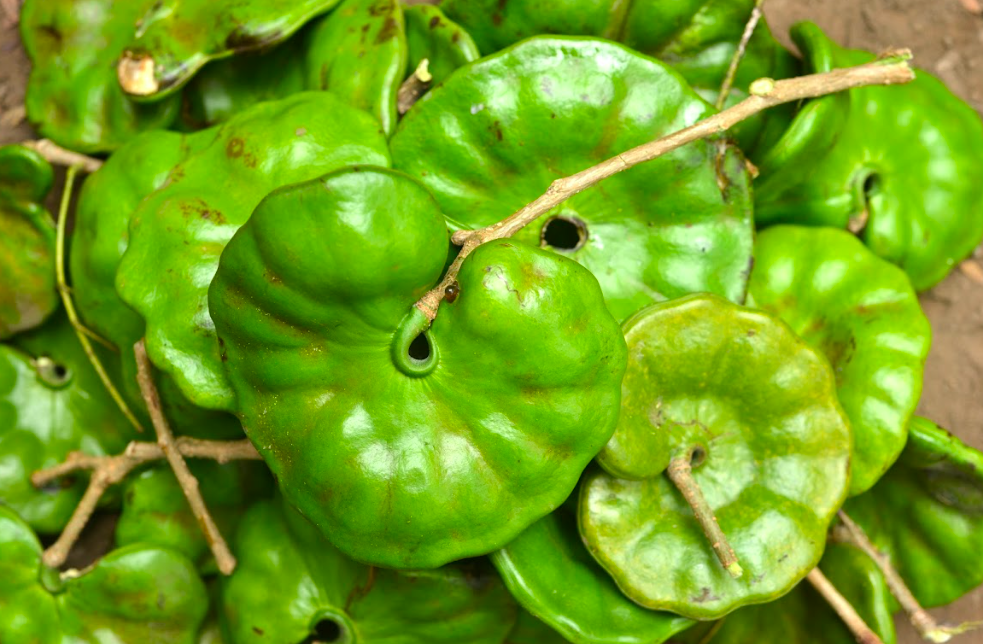 Montañas de Colima/Foto: Charly Ramos.png