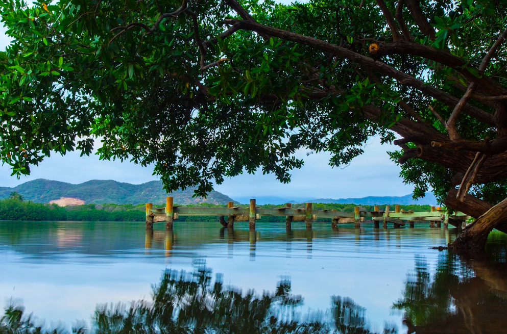 Colima Sabe/Foto: Charly Ramos.png