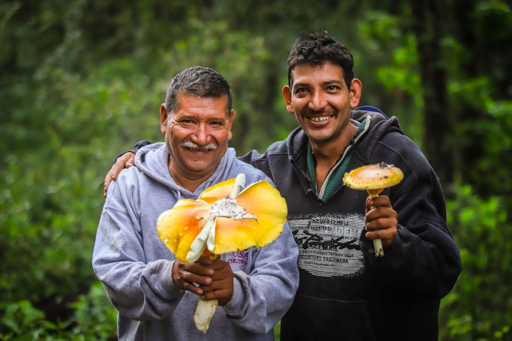 Montañas de Colima/Foto: Javier Flores.png
