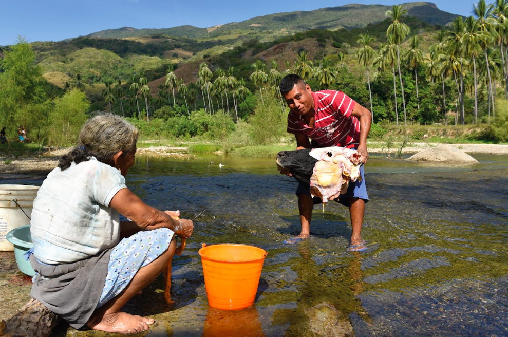 Costas de Colima/Foto: Javier Flores.png