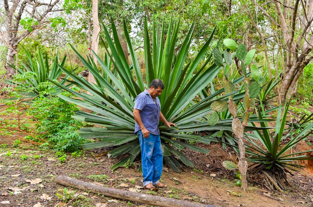 Montañas de Colima/Foto: Charly Ramos.png