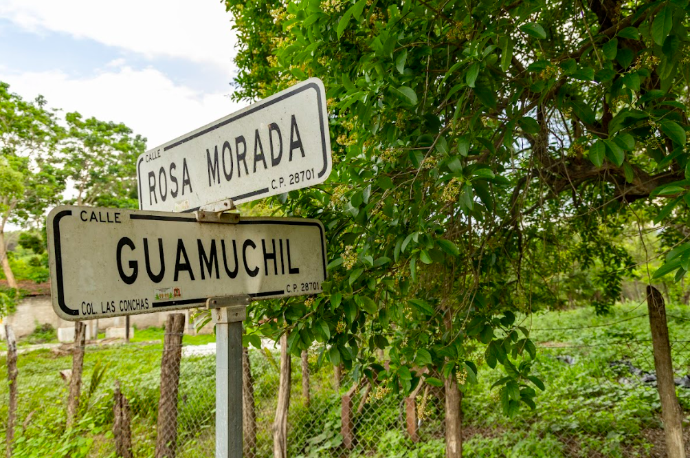 Valles de Colima/Foto: Gilberto Hernández.png