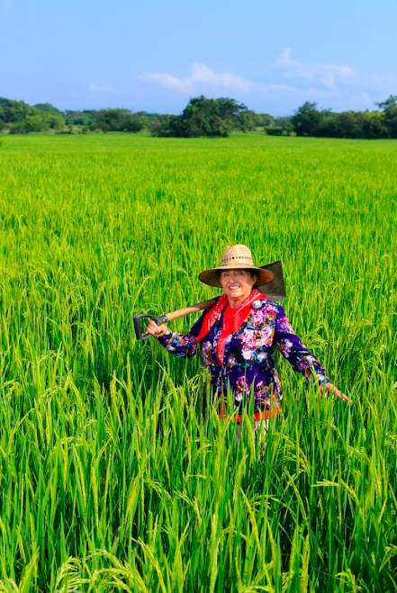 Valles de Colima/Foto: Charly Ramos.png