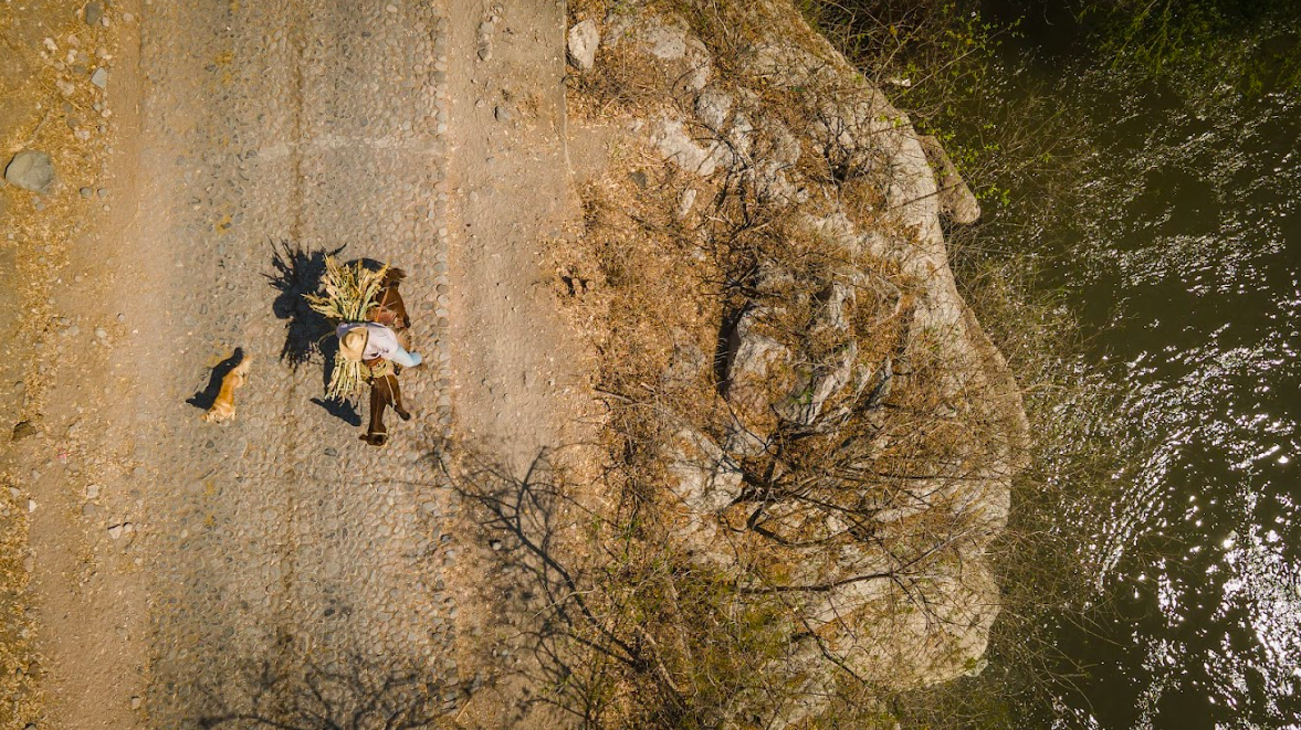 Montañas de Colima/Foto: Charly Ramos.png