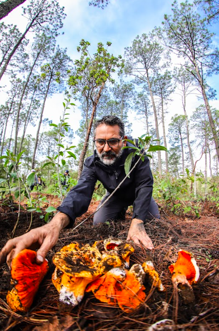 Montañas de Colima/Foto: Charly Ramos.png