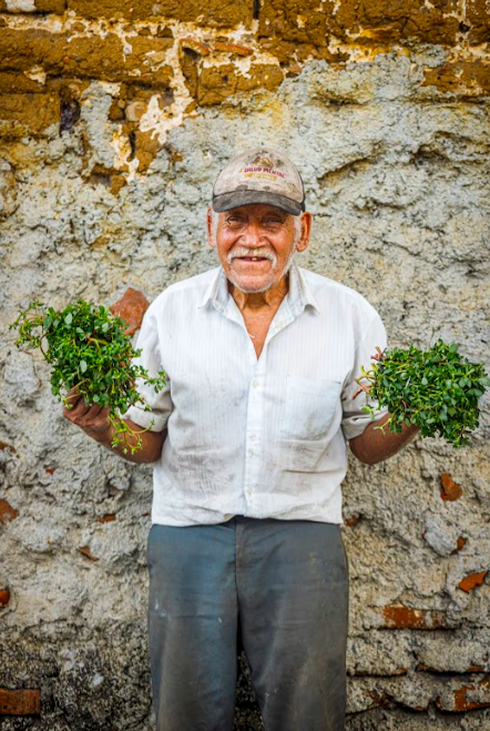 Volcanes de Colima/Foto: Gilberto Hernández.png