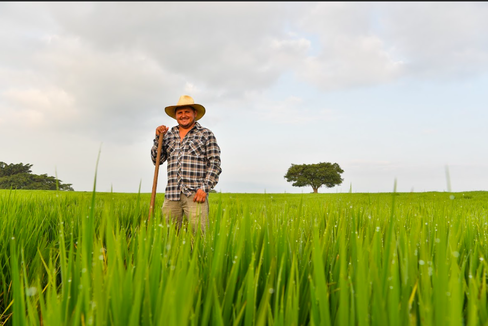 Valles de Colima/Foto: Charly Ramos.png